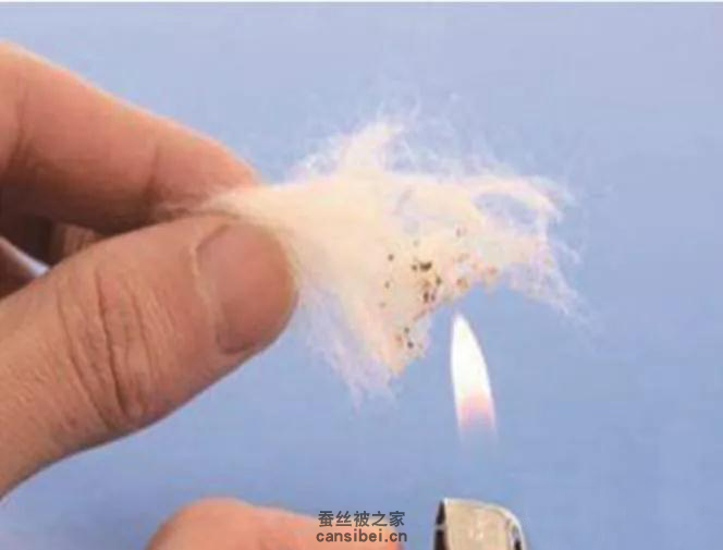 燃烧法鉴别蚕丝真假