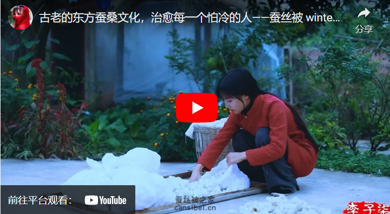 李子柒做蚕丝被